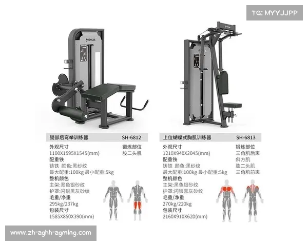 飞鸟健身器材:飞鸟训练器材的特点与肌群针对性讲解 飞鸟健身器材:飞鸟训练器材的特点与肌群针对性讲解