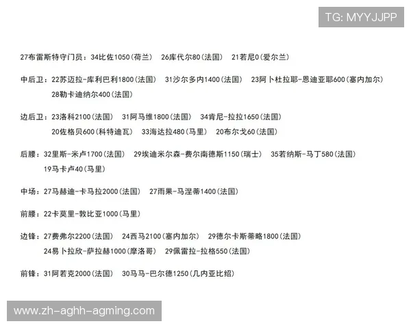 法甲球员实力档案：评分、身价与数据匹配