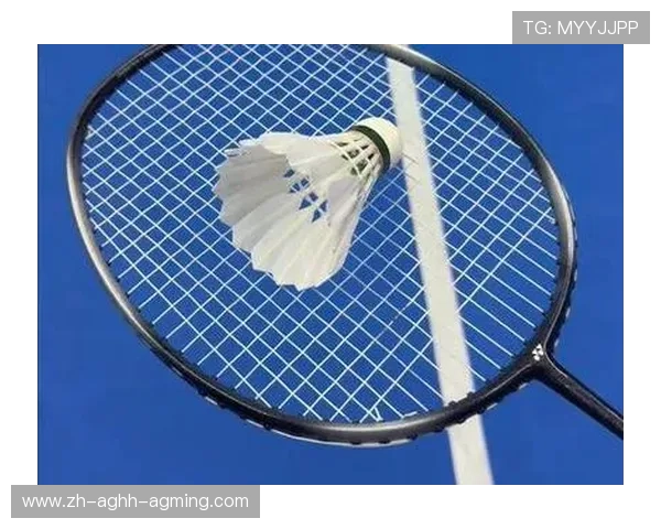 羽毛球如何停球视频