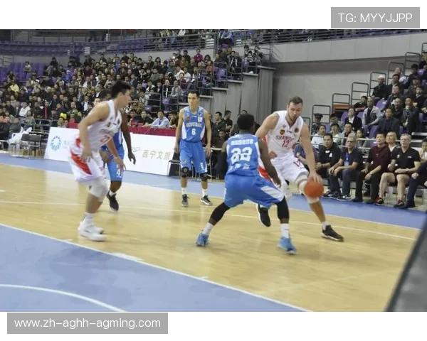 青海省是否拥有CBA篮球队伍的分析 青海省是否拥有CBA篮球队伍的分析